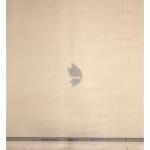 Siyaram's Bamboo Blended with Anti Bacterial benefits Plain pattern Beige (Champagne) Colour Unstitched Shirt Fabric of 1.6 Mts / VV2372A