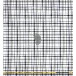 J.Hampstead Moretti Premium Egyptian Collection with 100% Giza Cotton Multicolor (Sage) Checkered Pattern Unstitched Shirt Fabric of 1.6 mts - Made In Italy / VV2774
