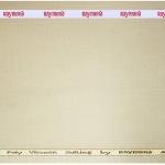 Raymond Viscose Rayon Beige Solid Unstitched Suit Fabric of 3.5 meters / VV5236