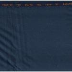 J HAMPSTEAD TERRON RAYON GREYSIH BLUE UNSTITCHED TROUSER FABRIC -1.25 MTS / VV8243